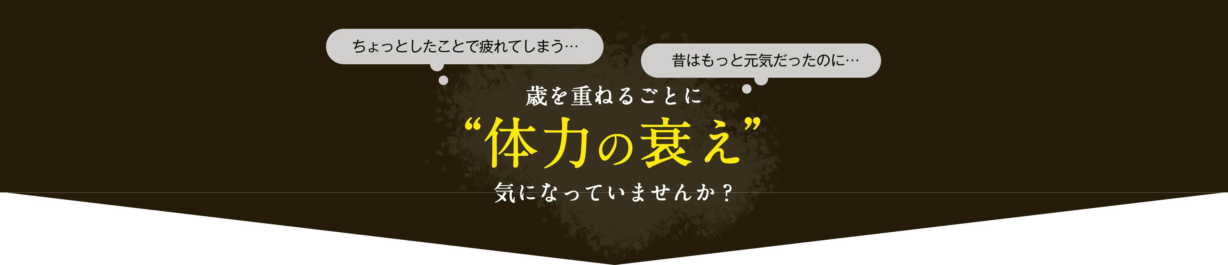 ちょっとしたことで疲れてしまう…昔はもっと元気だったのに…歳を重ねるごとに“体力の衰え”気になっていませんか？