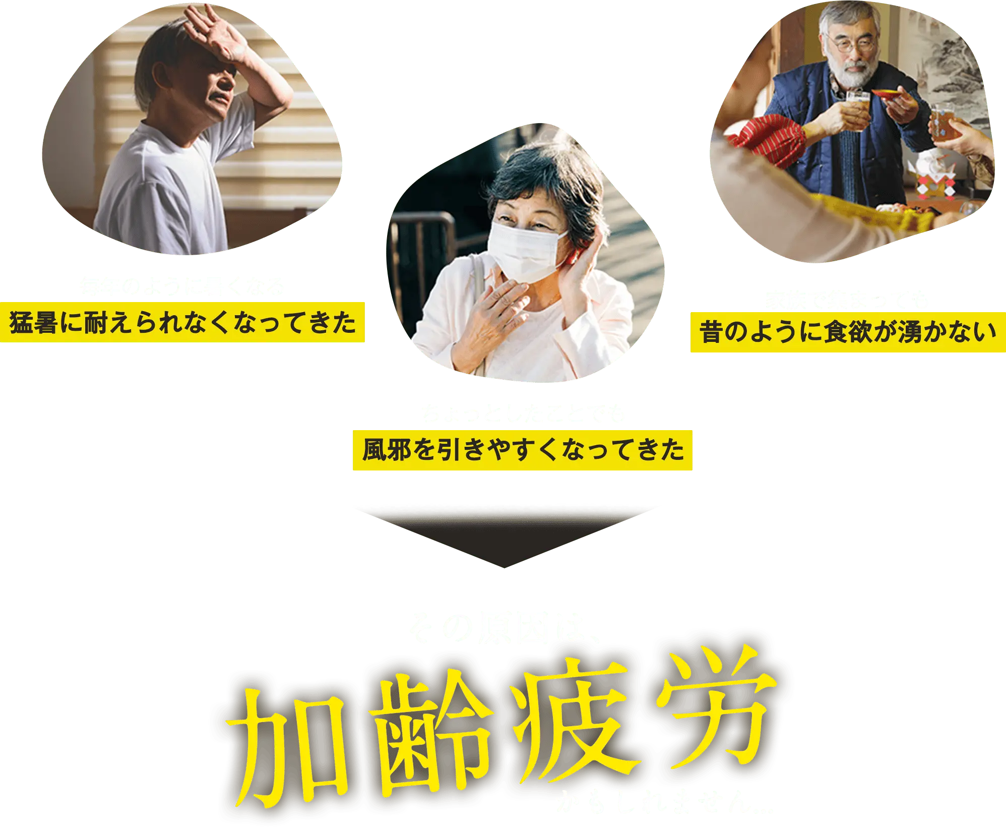 「毎年のように暑くなる猛暑に耐えられなくなってきた」「ちょっとしたことでも風邪を引きやすくなってきた」「家族で集まっても昔のように食欲が湧かない」その原因は、加齢疲労かもしれません...