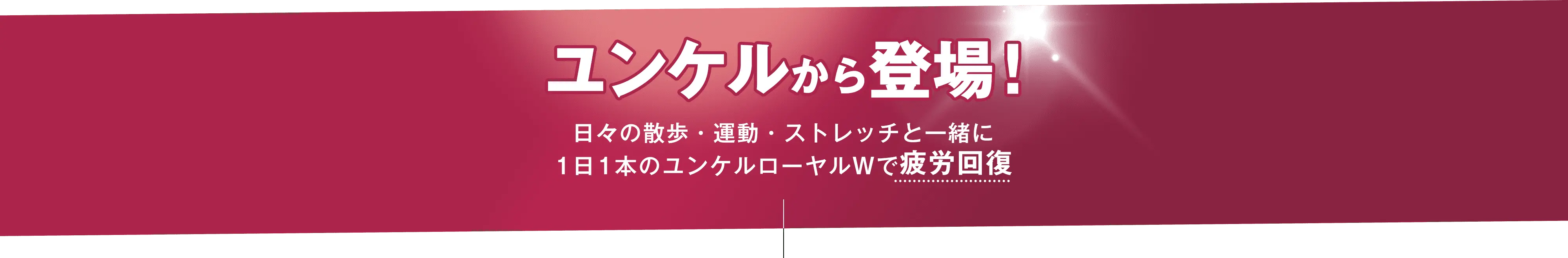 ユンケルから登場！日々の散歩・運動・ストレッチと一緒に1日1本のユンケルローヤルWで疲労回復